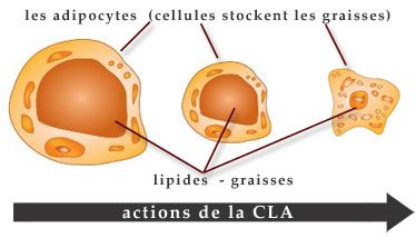 La méthode effective pokhoudeniya dans les conditions domestiques