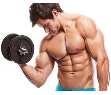 Livre de musculation