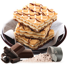 Protein Wafer