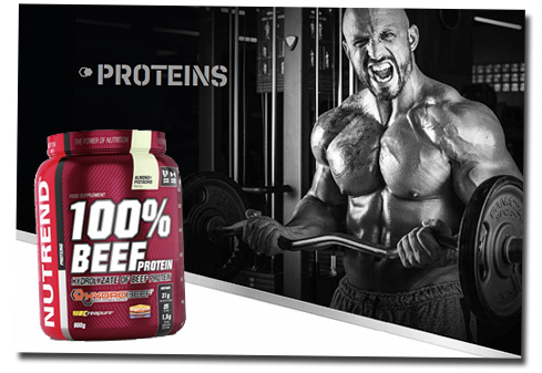 100% Beef Protein