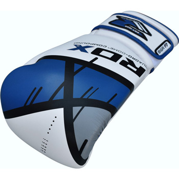 Quadro Dome Blue