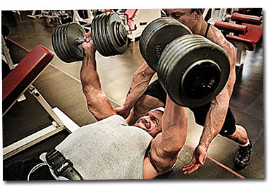 Plasma Muscle